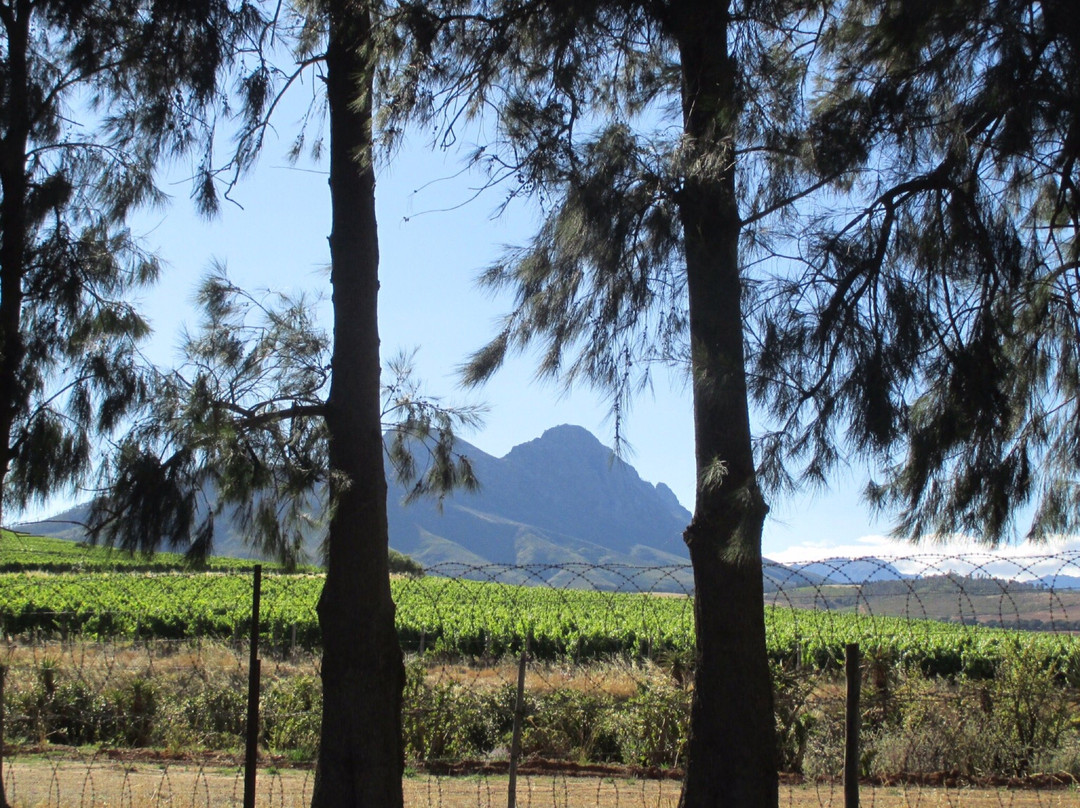 Winemakers House Farm Accommodation主图