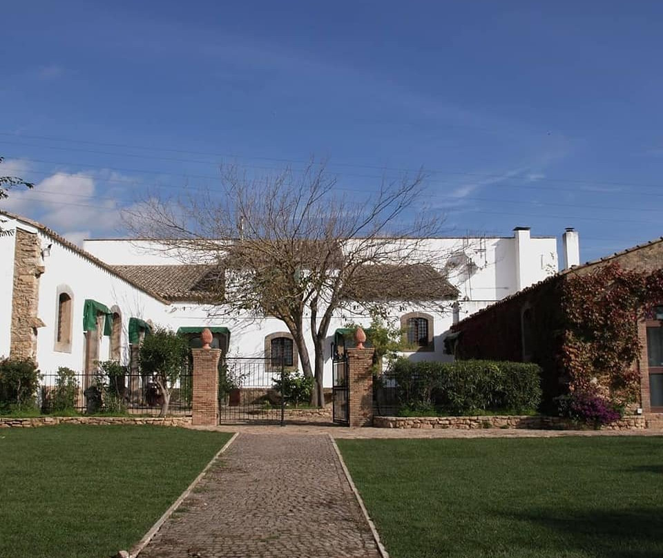 Morus Alba Resort