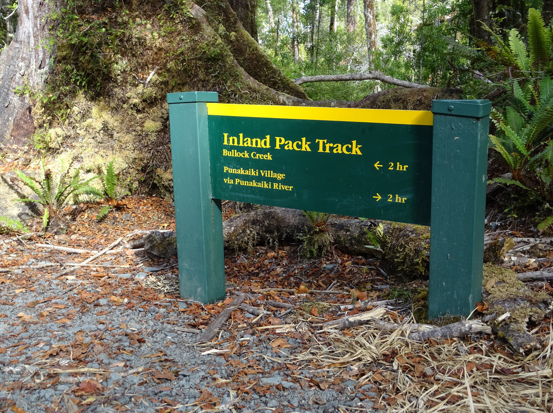 Inland Pack Track景点图片