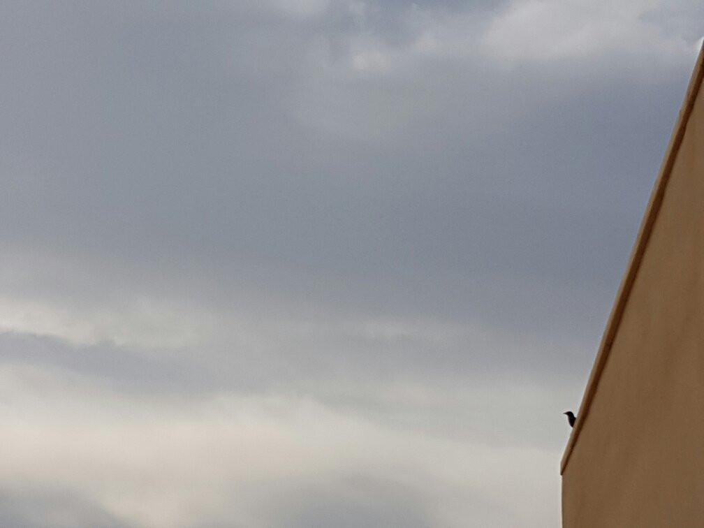 The Masada Hostel主图