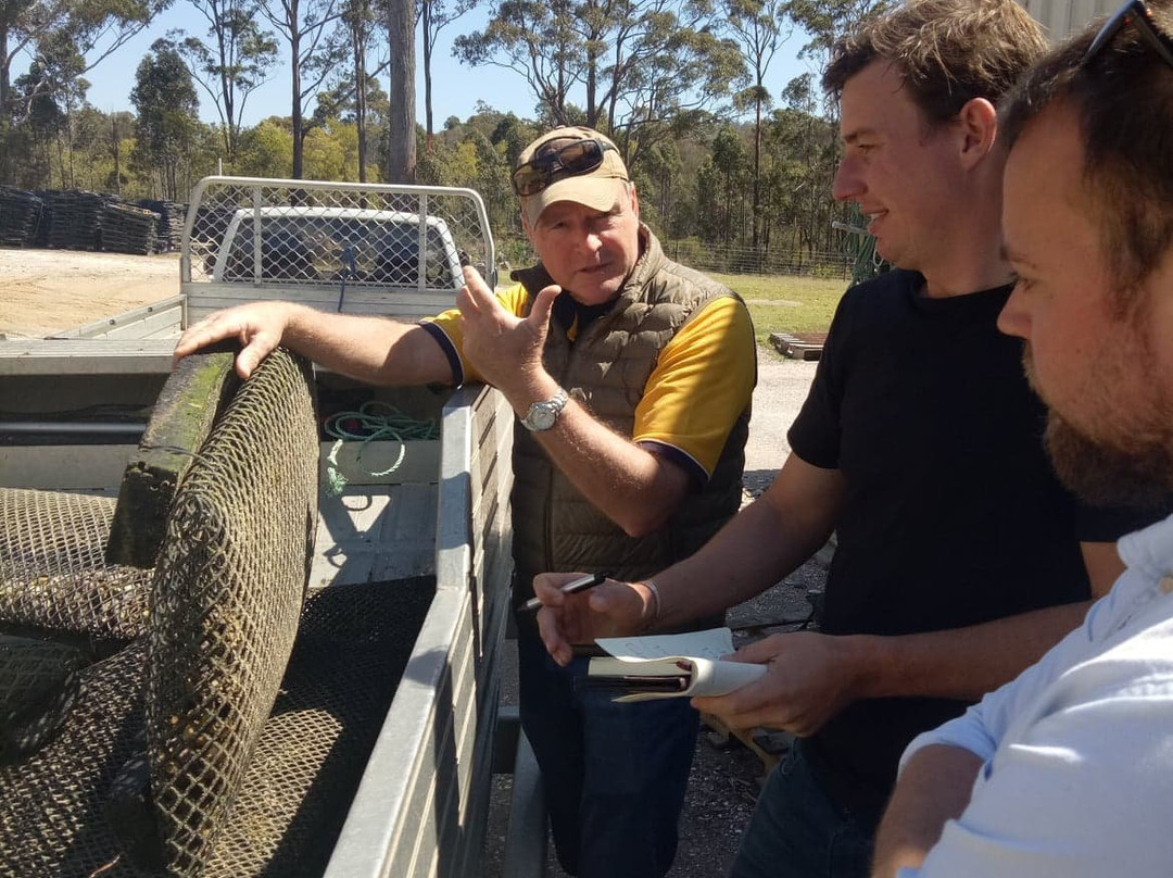 Wheeler's Oyster Farm Tour景点图片