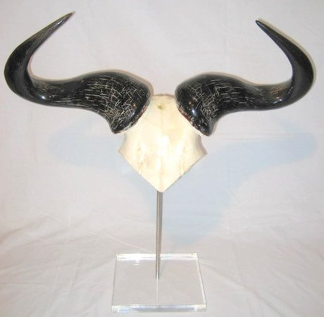 African Tribes-开普敦必去景点