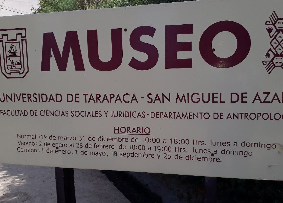 Museo Momias Chinchorro景点图片