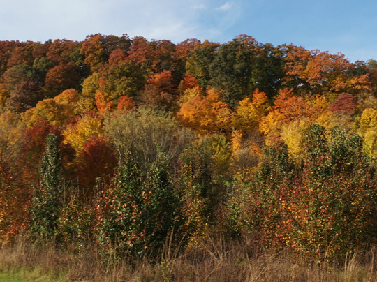 Caesars Southern Indiana主图