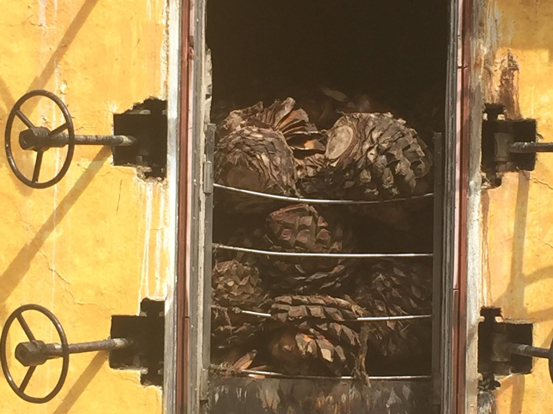 Jose Cuervo Forum-特基拉必去景点