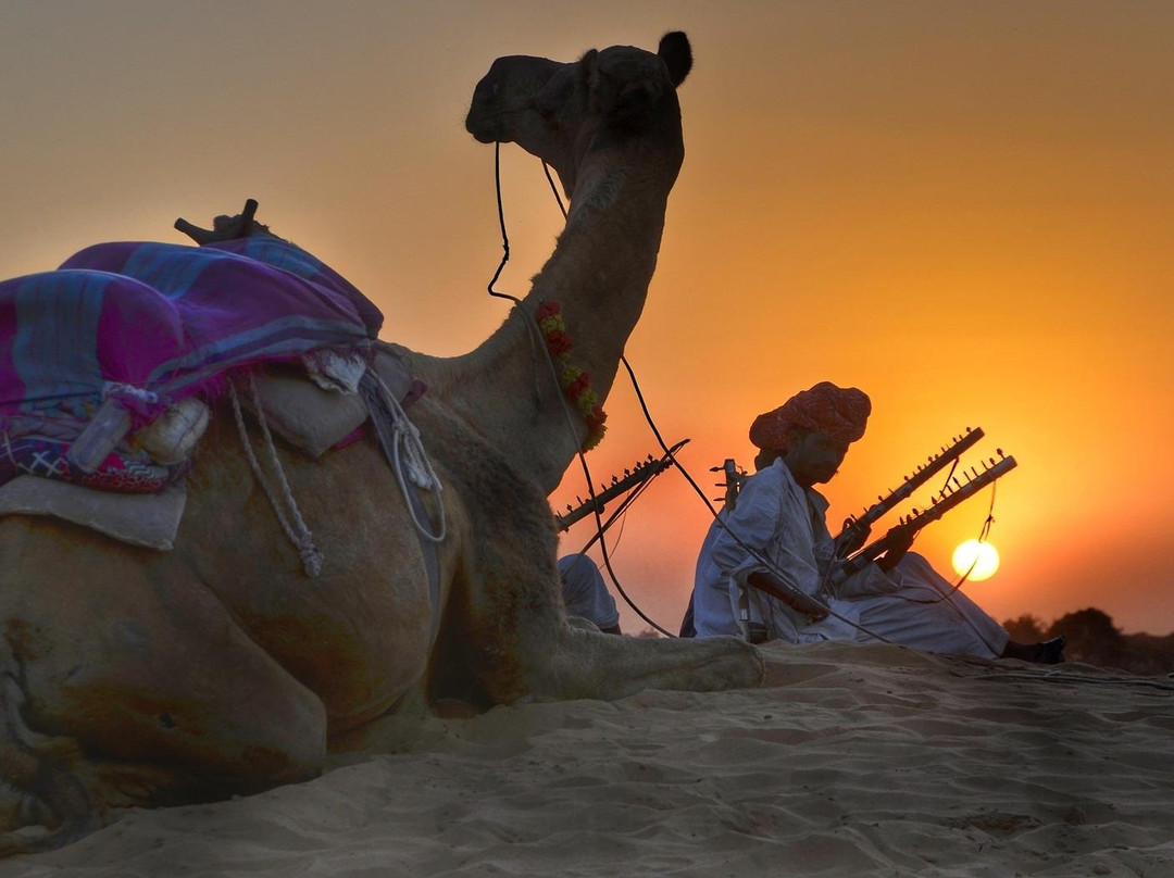 Osian Camel and Jeep Safari景点图片