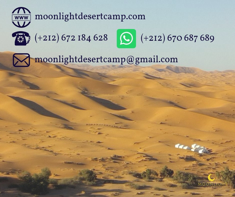 Moonlight Desert Camp