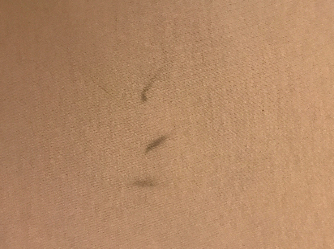 Grand Market Luxury Apartments主图