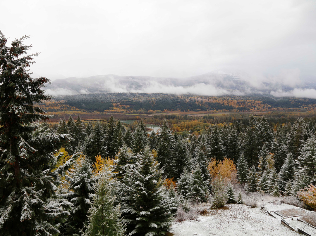 Tschurtschenthaler Lodge B and B主图