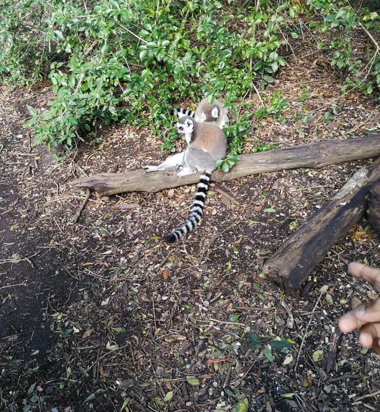 Zee's Cape Tours-Kraaifontein必去景点