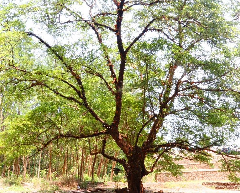 Sodong Waterfall-苏加武眉必去景点
