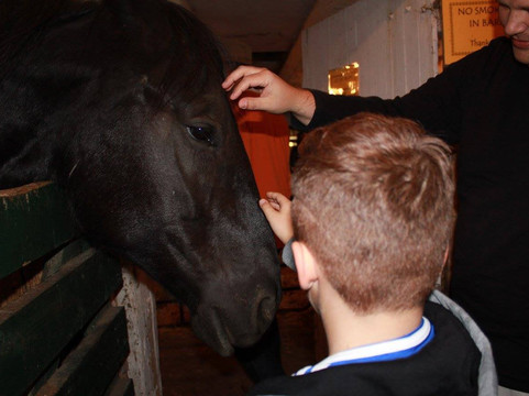 Knox's Pumpkin Farm-Hampton必去景点