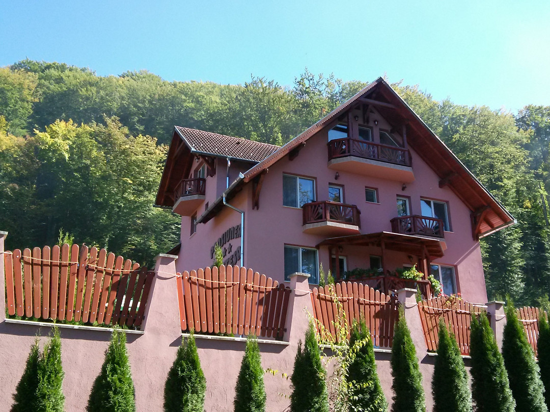 Pensiunea Contesa主图