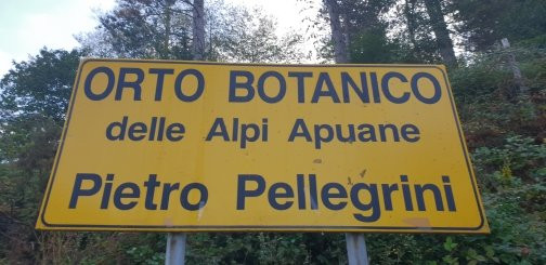 Orto Botanico Pellegrini - Ansaldi景点图片