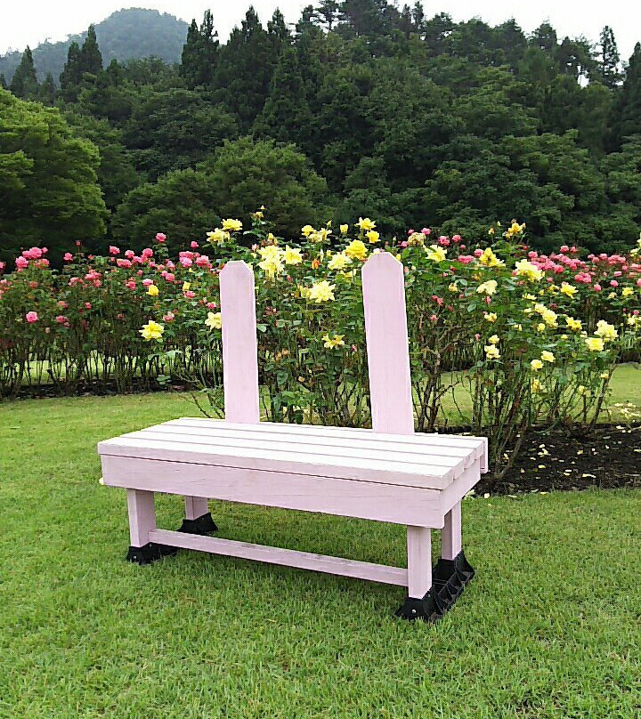 Higashizawa Rose Park景点图片