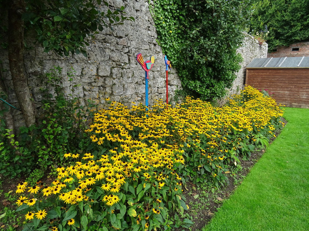 Stackpole Walled Garden景点图片