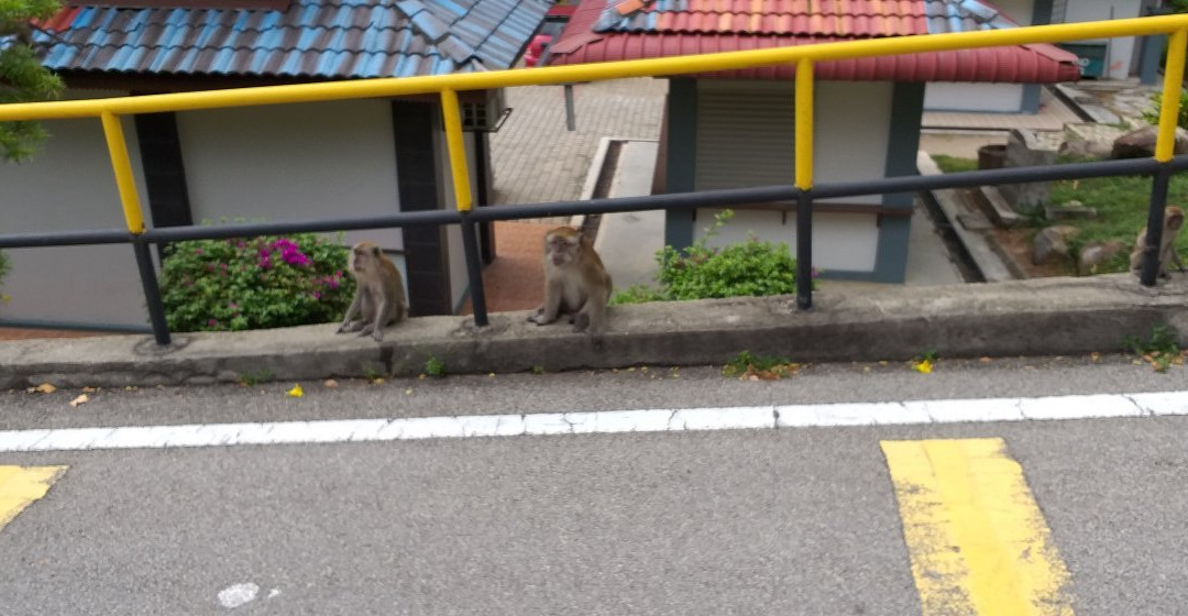 Kuala Selangor Historical Museum-瓜拉雪兰莪必去景点