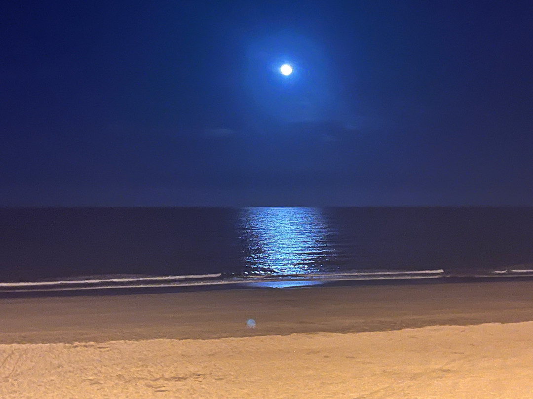 Tribal Lounge Beach Bar And Restaurant