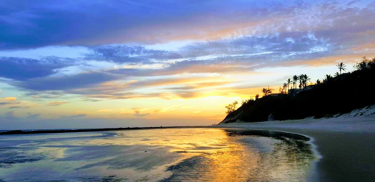 Go Wild Resort-官方