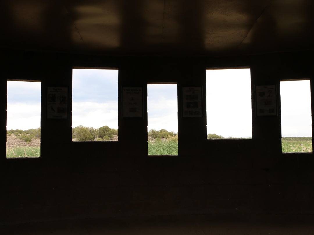 Pintail Lake-肖洛必去景点