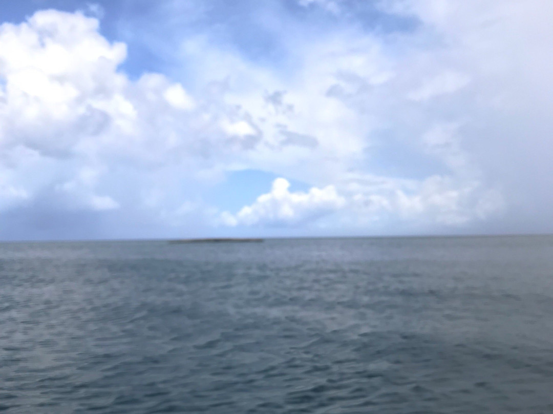 Gri Gri Lagoon-Rio San Juan必去景点