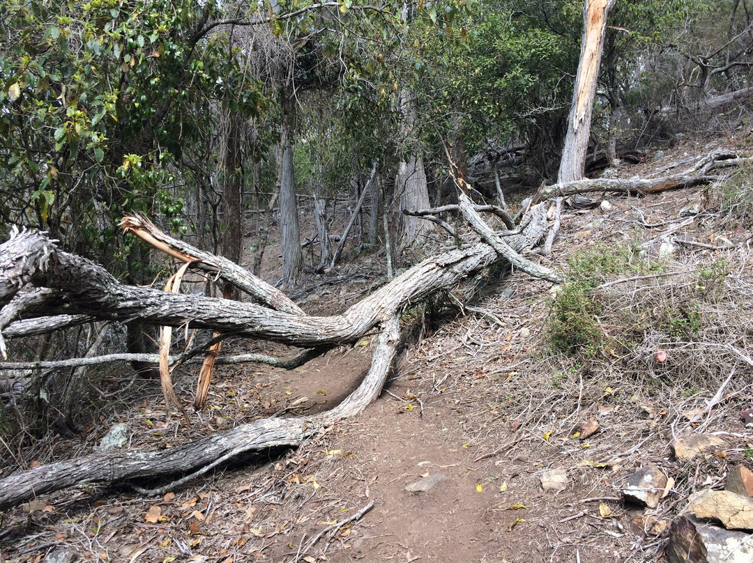 Bournda National Park景点图片