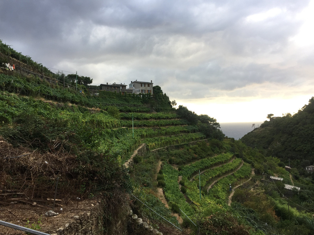 Terra di Bargon-里奥马焦雷必去景点
