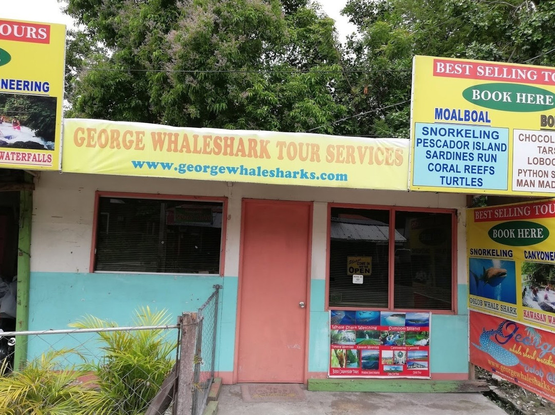 George Whalesharks Tour Services-奥斯洛布必去景点