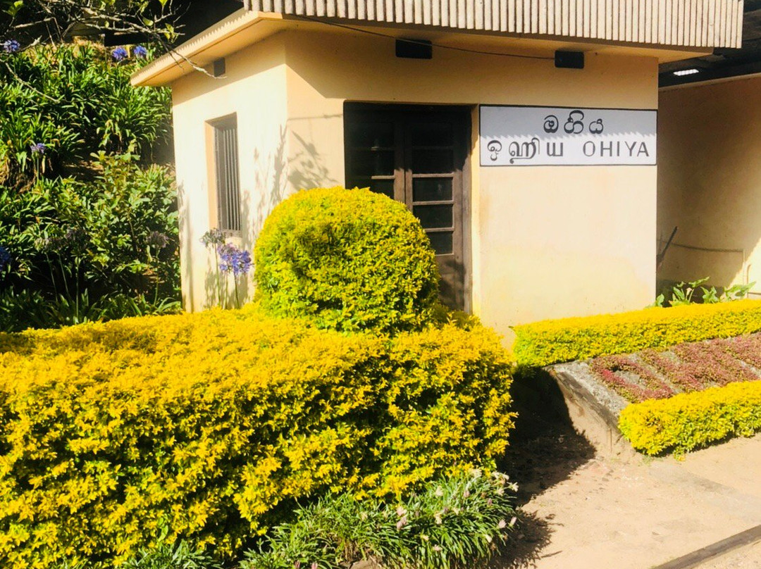 The Misty Mountain Guest House主图