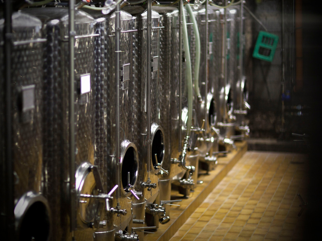 Domaine Viticole Schumacher-Knepper-Schengen必去景点
