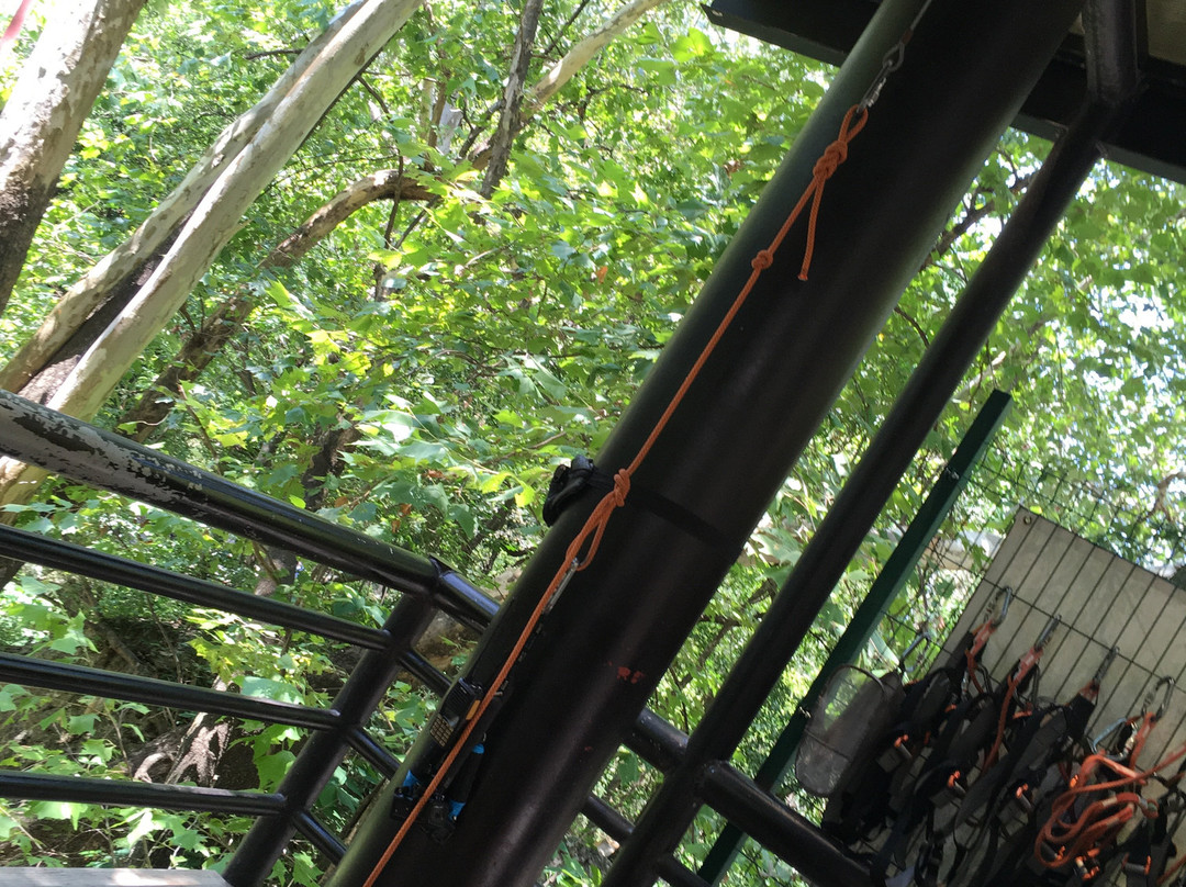 IBO Adventures-蒙特雷必去景点