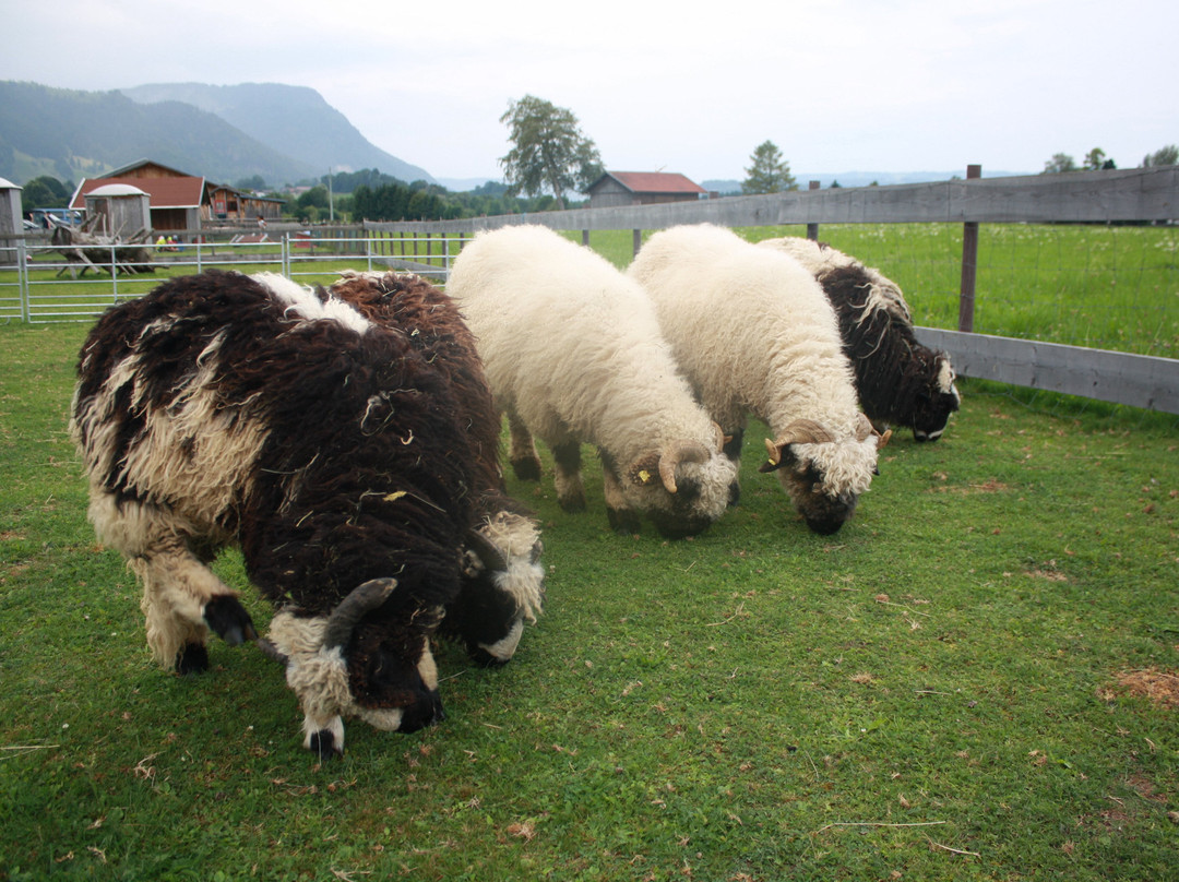 Burgberger Tierparadies mit Kafe Kult景点图片