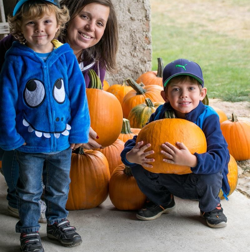 Pumpkin Farm Bykoš景点图片