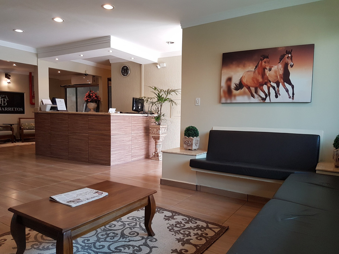 Hotel Barretos主图