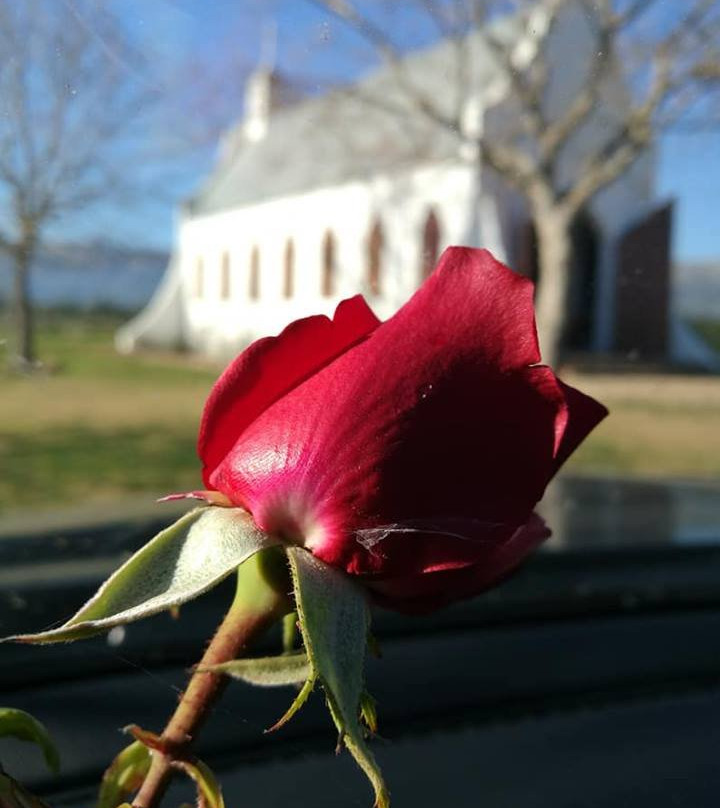 Montpellier De Tulbagh主图
