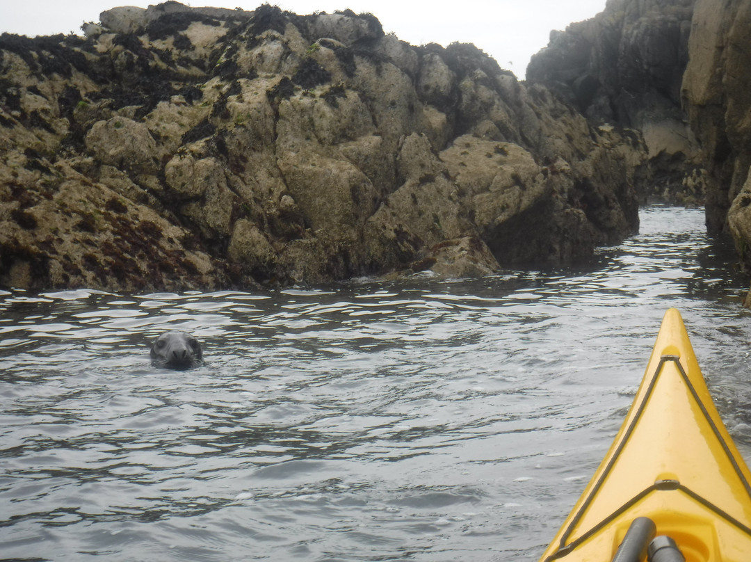 Sea Kayaking Wales景点图片