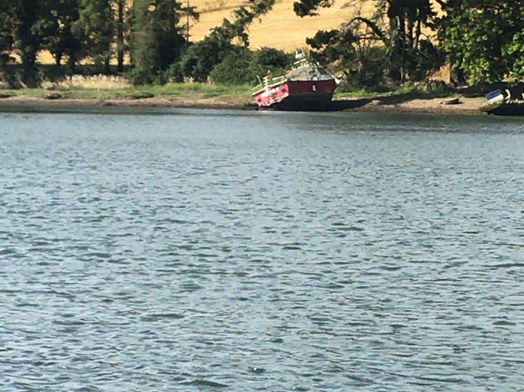 Blackwater Day Cruise-Youghal必去景点