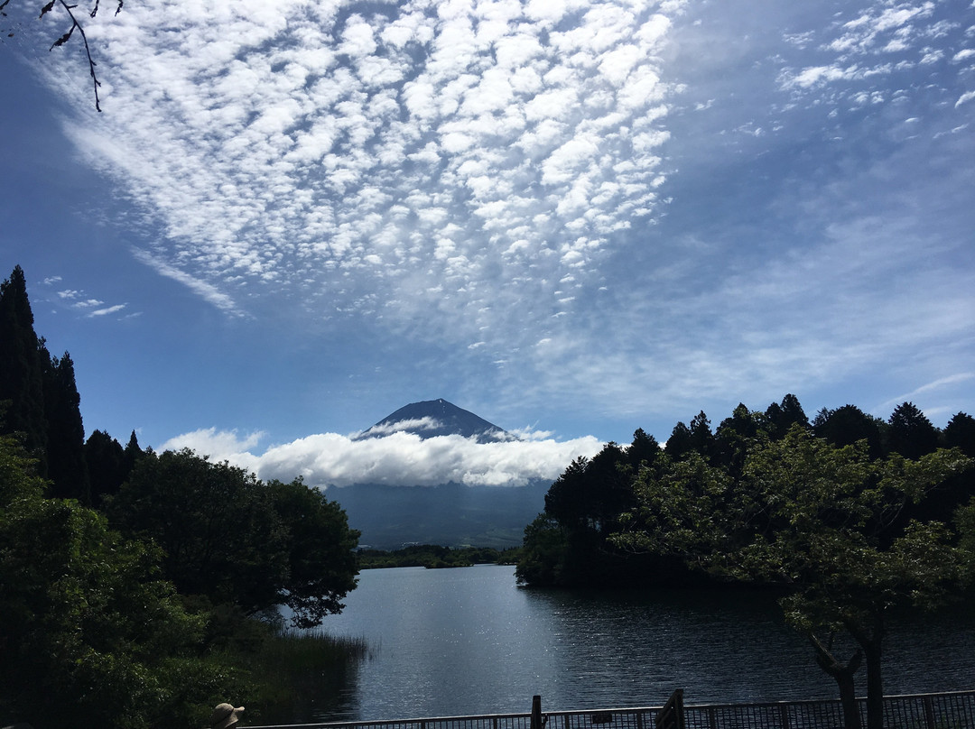 Lake Tanuki景点图片