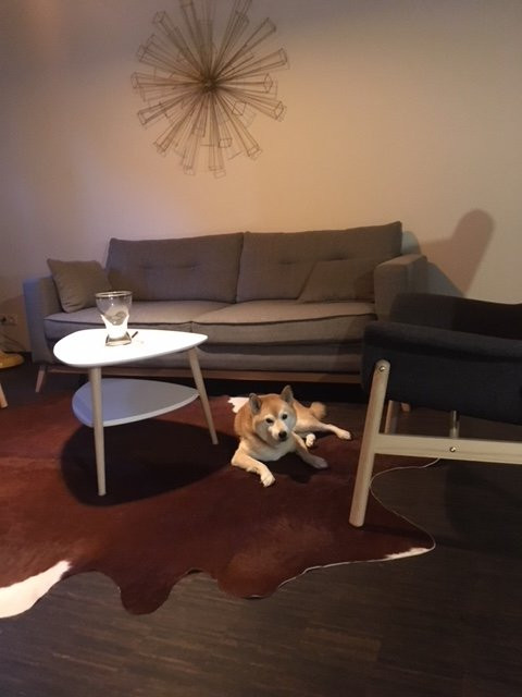 Vistay Apartments主图