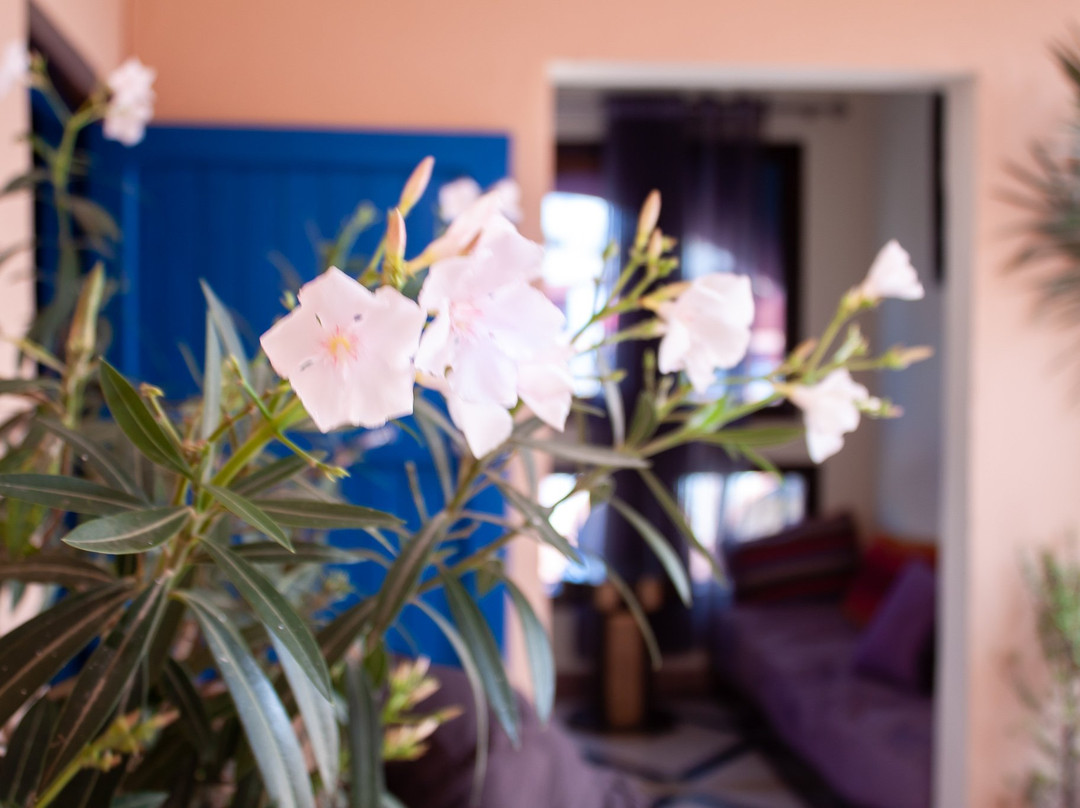 Hotel Restaurant Atlas主图