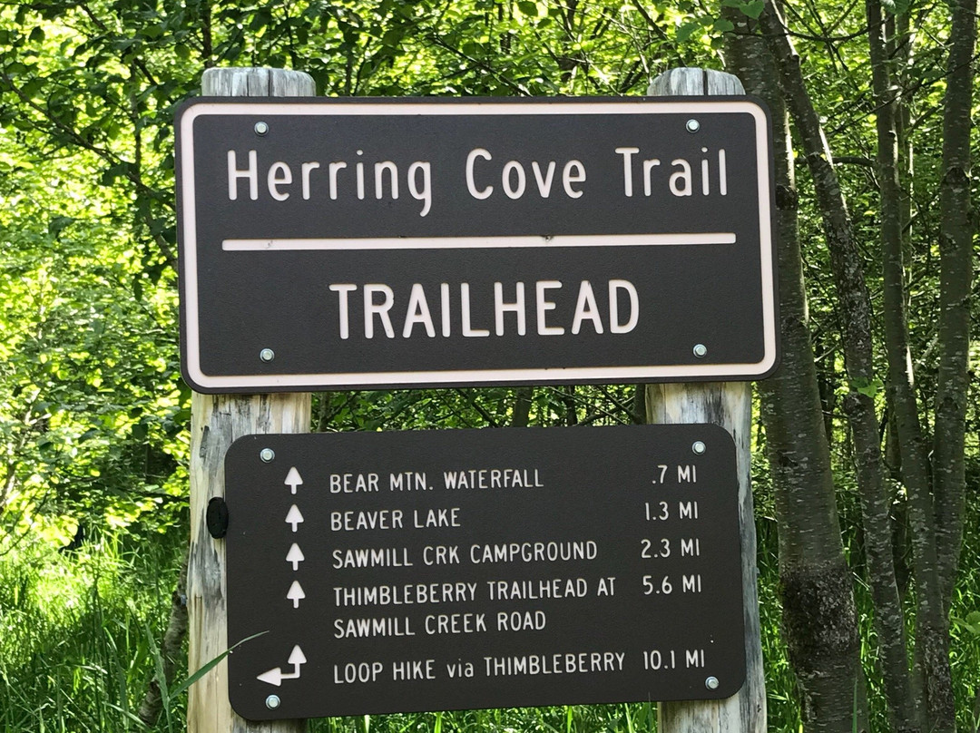 Herring Cove Trail景点图片