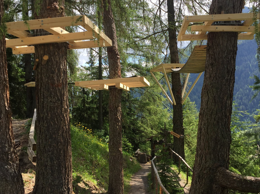 Senn's Wonder Walking Trail-圣安东阿尔山必去景点