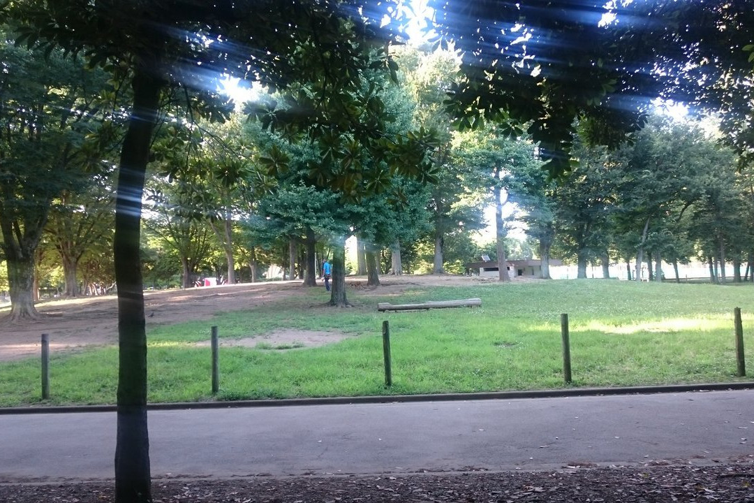 Akatsuka Park-板桥区必去景点