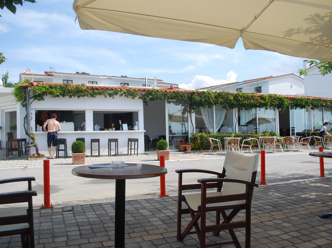 Xenios Dolphin Beach Hotel主图