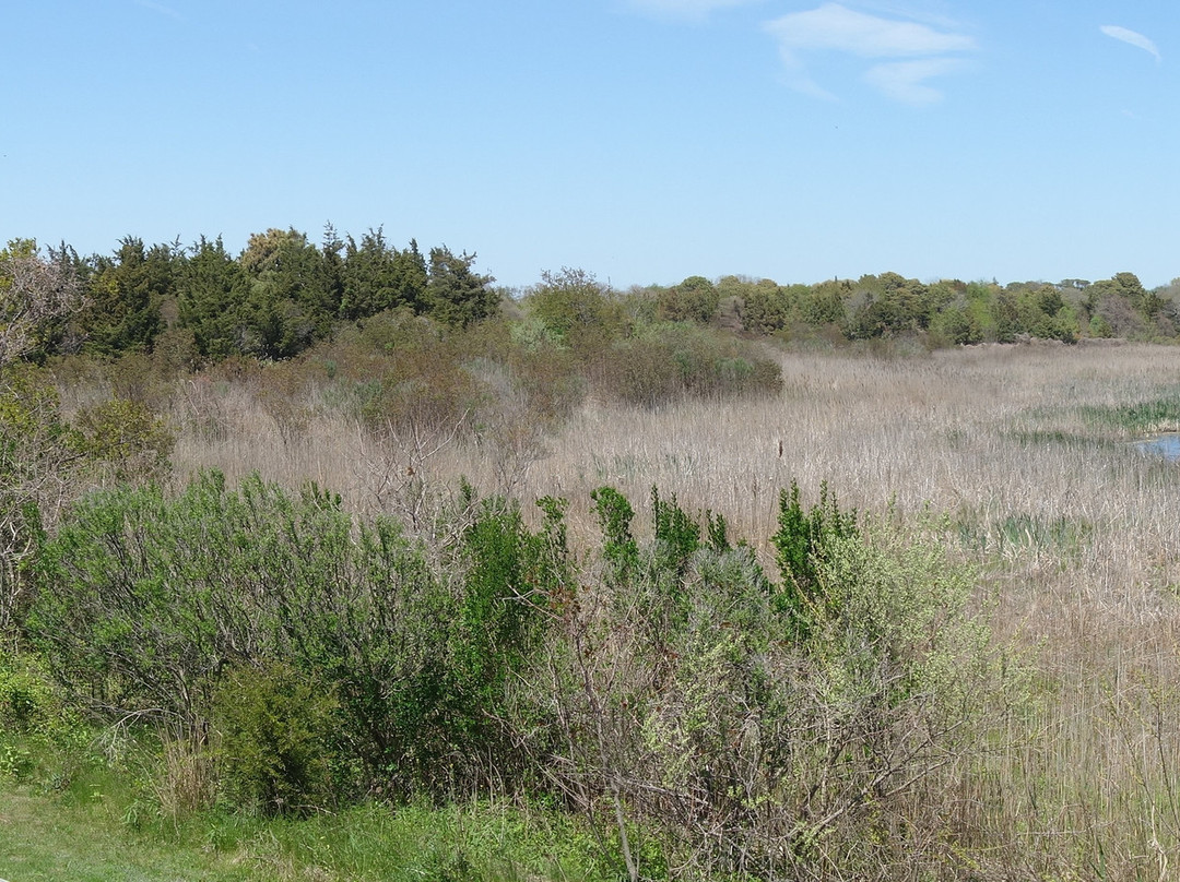 Cape May Point State Park景点图片