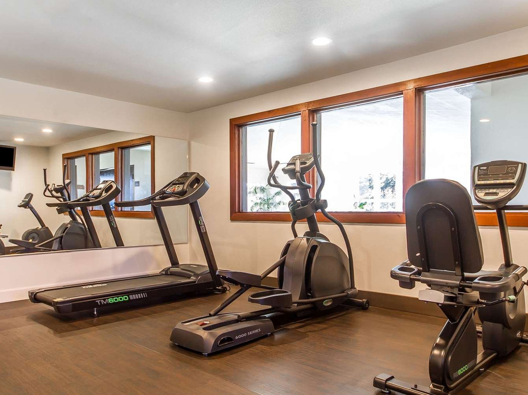 Comfort Inn & Suites Redwood Country主图