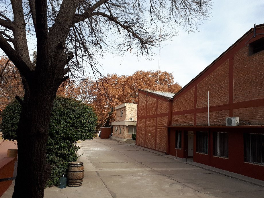 Bodega Suter-圣拉斐尔必去景点