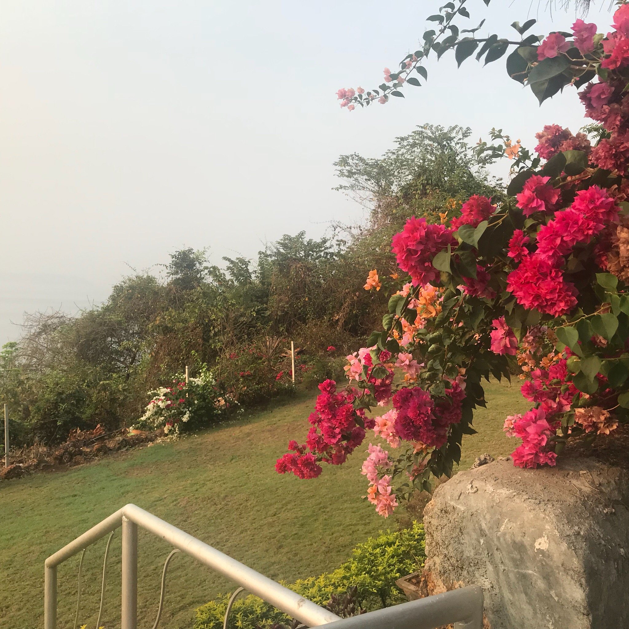 Goa Villa La Gitana-官方