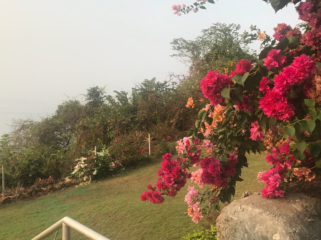 Goa Villa La Gitana主图