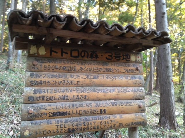 Totoro Forest-所泽市必去景点